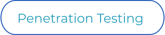 Penetration Testing